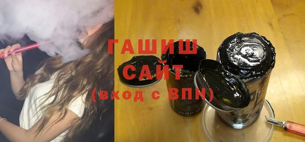 индика Карпинск