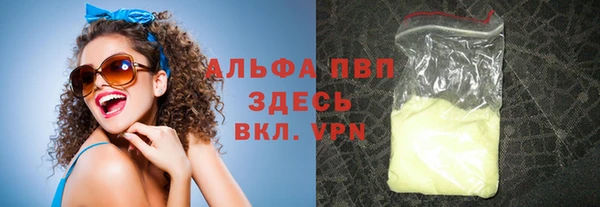 индика Касимов