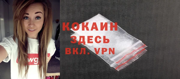 индика Карпинск