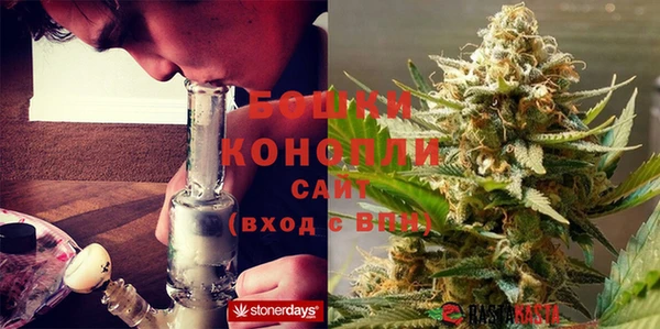 индика Касимов