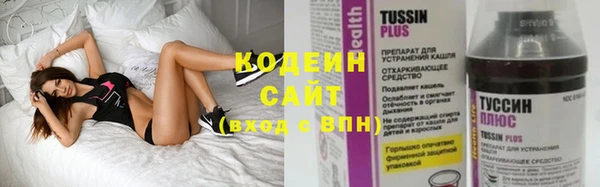 индика Касимов