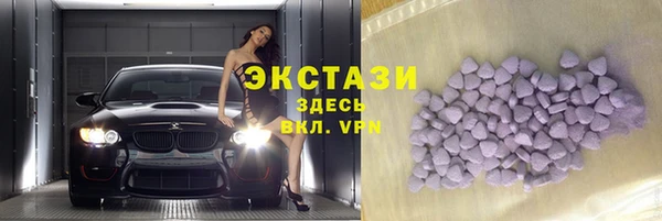 индика Карпинск