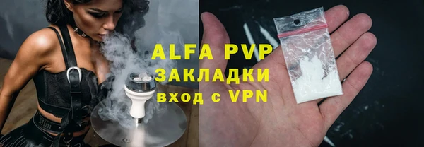 индика Касимов