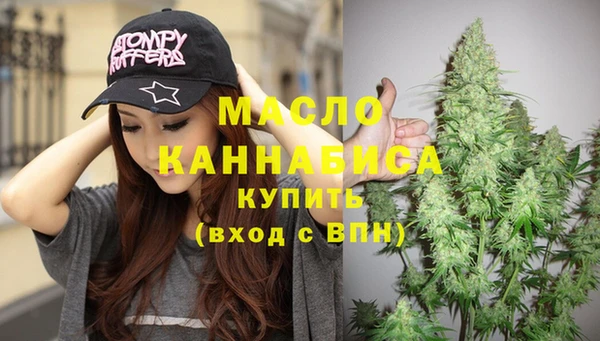 индика Касимов