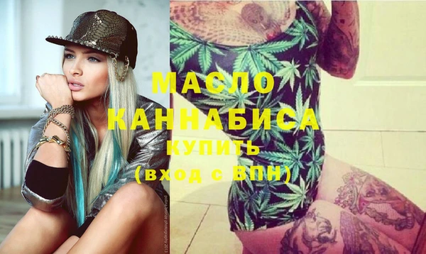 индика Карпинск
