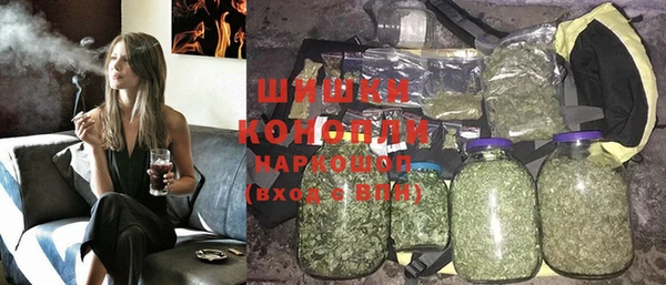 индика Карпинск