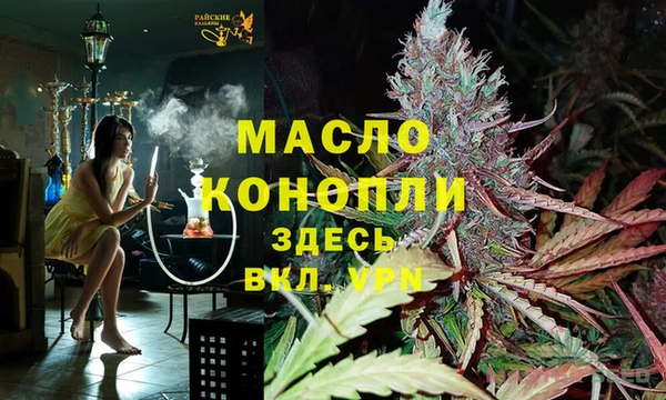индика Касимов