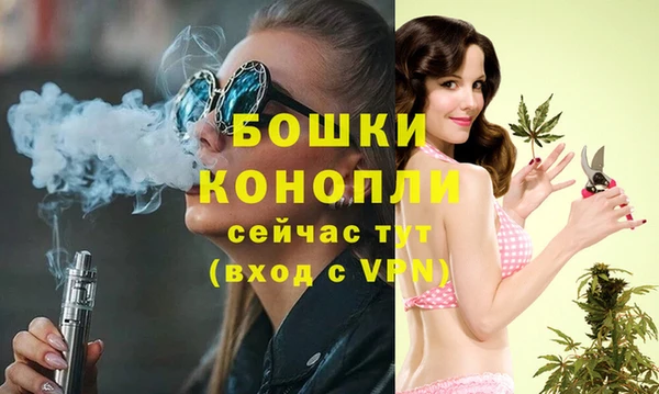 индика Карпинск