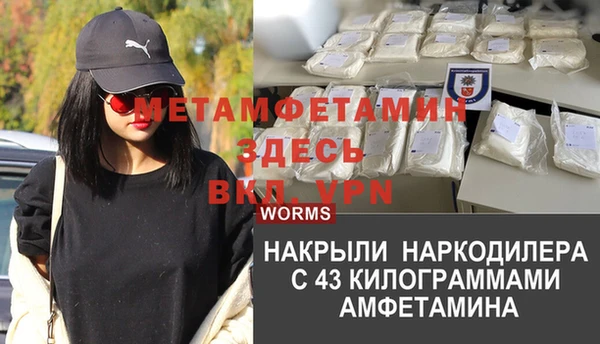 индика Карпинск