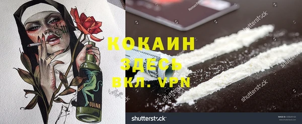 индика Карпинск