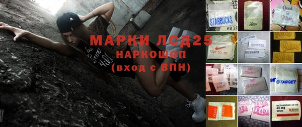 индика Карпинск