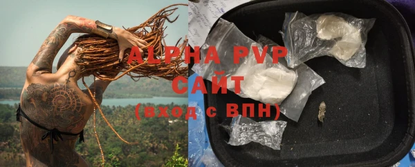 индика Касимов
