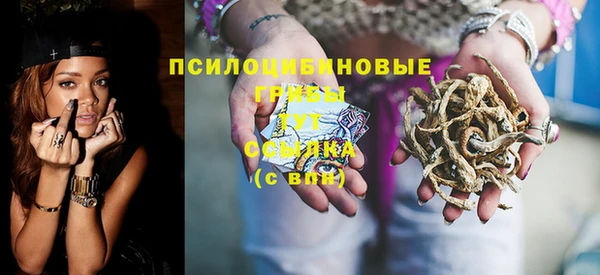 индика Карпинск