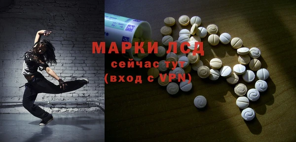 индика Касимов