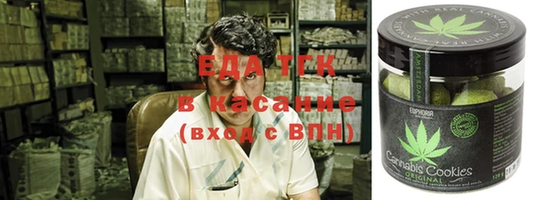 индика Карпинск