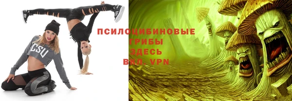 индика Касимов